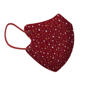 漫天星光三層2D纖面型口罩 - 大碼 (袋裝5個)